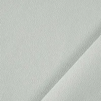 Icaro 23